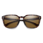 Contour, Tortoise + Brown Lens, hi-res