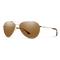 Langley 2, Gold + ChromaPop™ Polarized Brown, hi-res