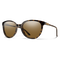 Cheetah, Tortoise + ChromaPop Polarized Brown Lens, hi-res