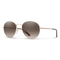 Prep, Matte Gold + Polarized Brown Gradient Lens, hi-res