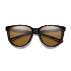 Seeker, Tortoise + ChromaPop Polarized Brown Lens, hi-res