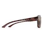 Contour, Tortoise + Brown Lens, hi-res