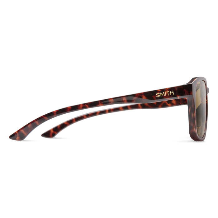 Contour, Tortoise + Brown Lens, hi-res